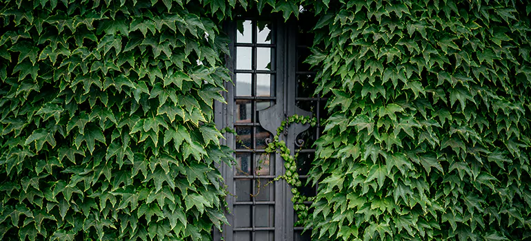 Garden Gate Repair in Oakland, CA