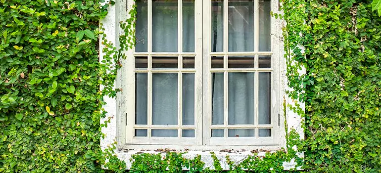 Garden Window Repair Near Me in Oakland, CA