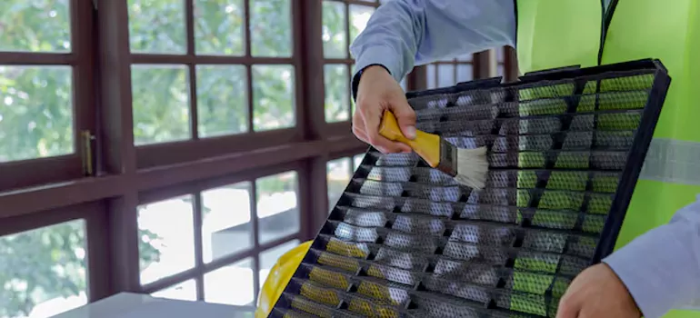 Traditional Window Grille Installation Options in Oakland, CA