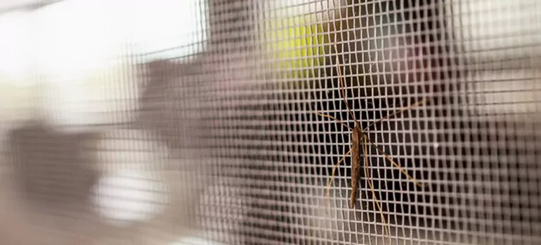 Repair Mosquito Mesh For Windows in Oakland, CA
