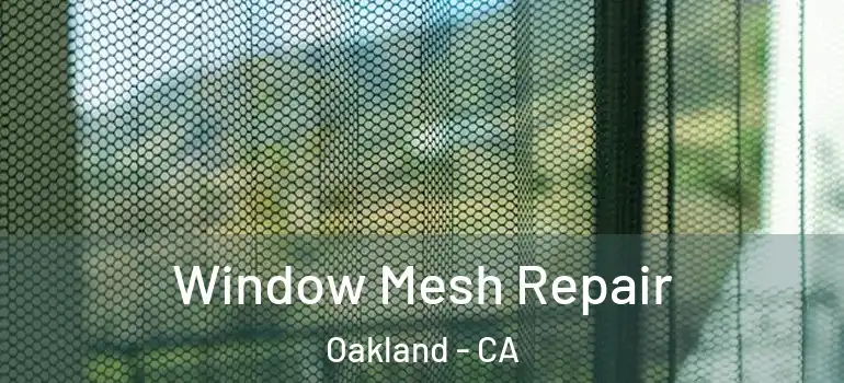  Window Mesh Repair Oakland - CA