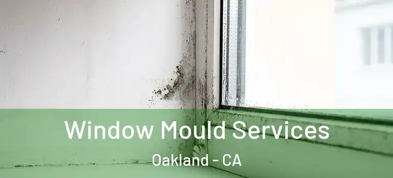  Window Mould Services Oakland - CA